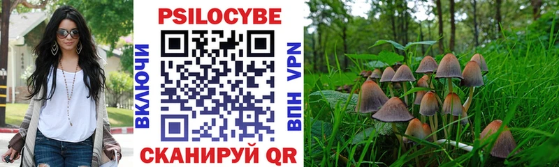 Галлюциногенные грибы Magic Shrooms  где продают   Зеленокумск 